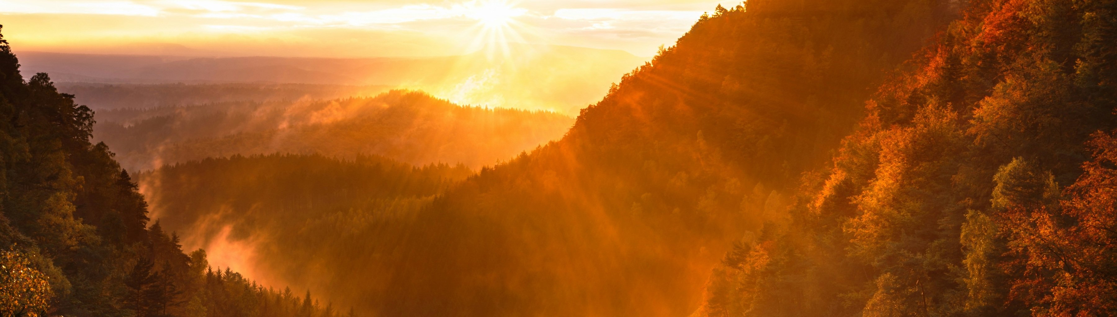 artem-sapegin-8c6eS43iq1o-unsplash