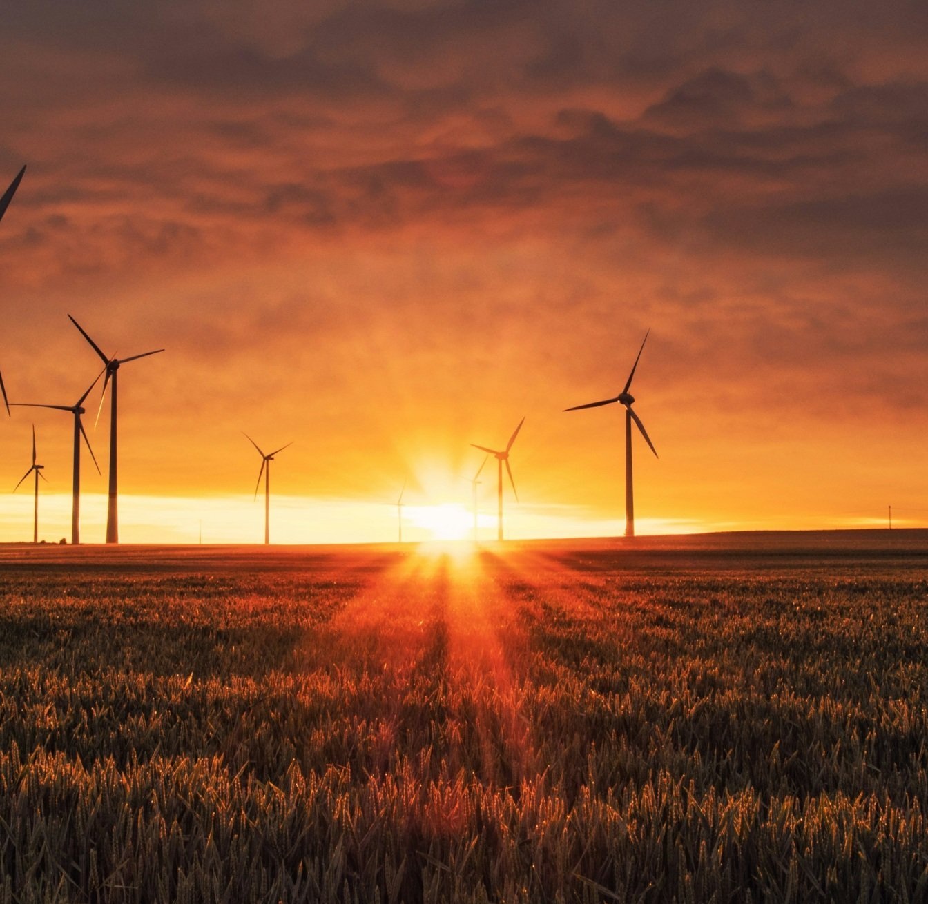 karsten-wurth-0w-uTa0Xz7w-unsplash