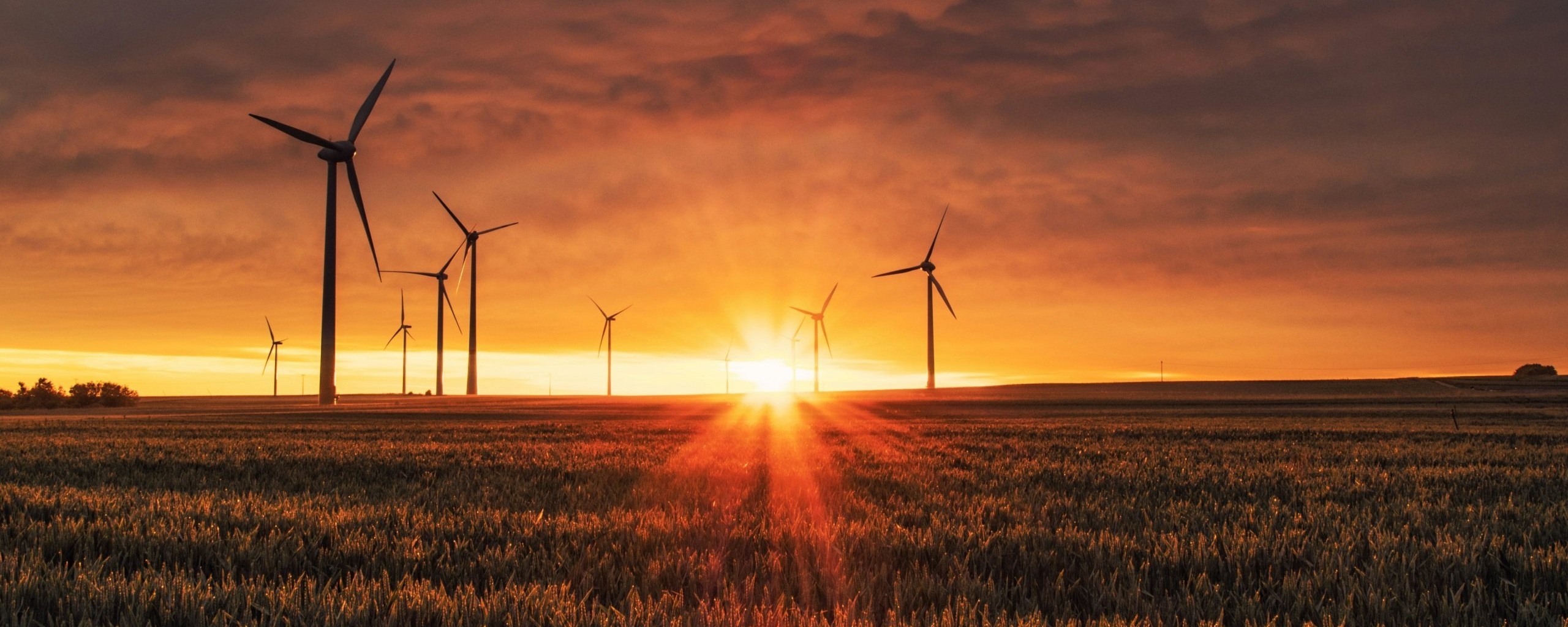 karsten-wurth-0w-uTa0Xz7w-unsplash