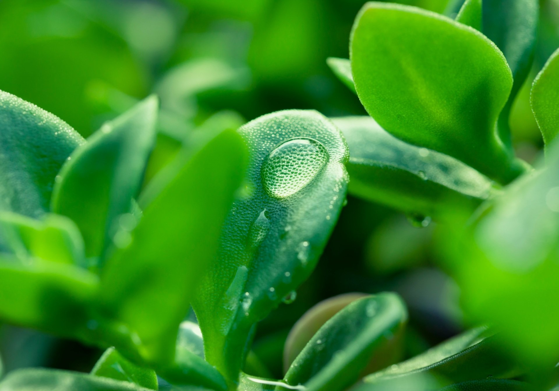 paolo-d-andrea-47NTenGHjMI-unsplash